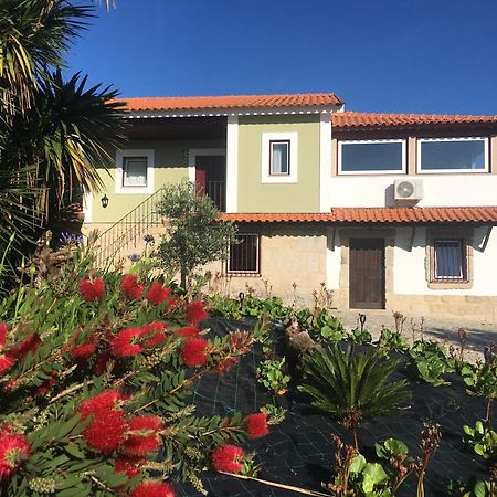 Quinta De Mocamedes - Turismo De Habitacao Ξενοδοχείο Vouzela Εξωτερικό φωτογραφία