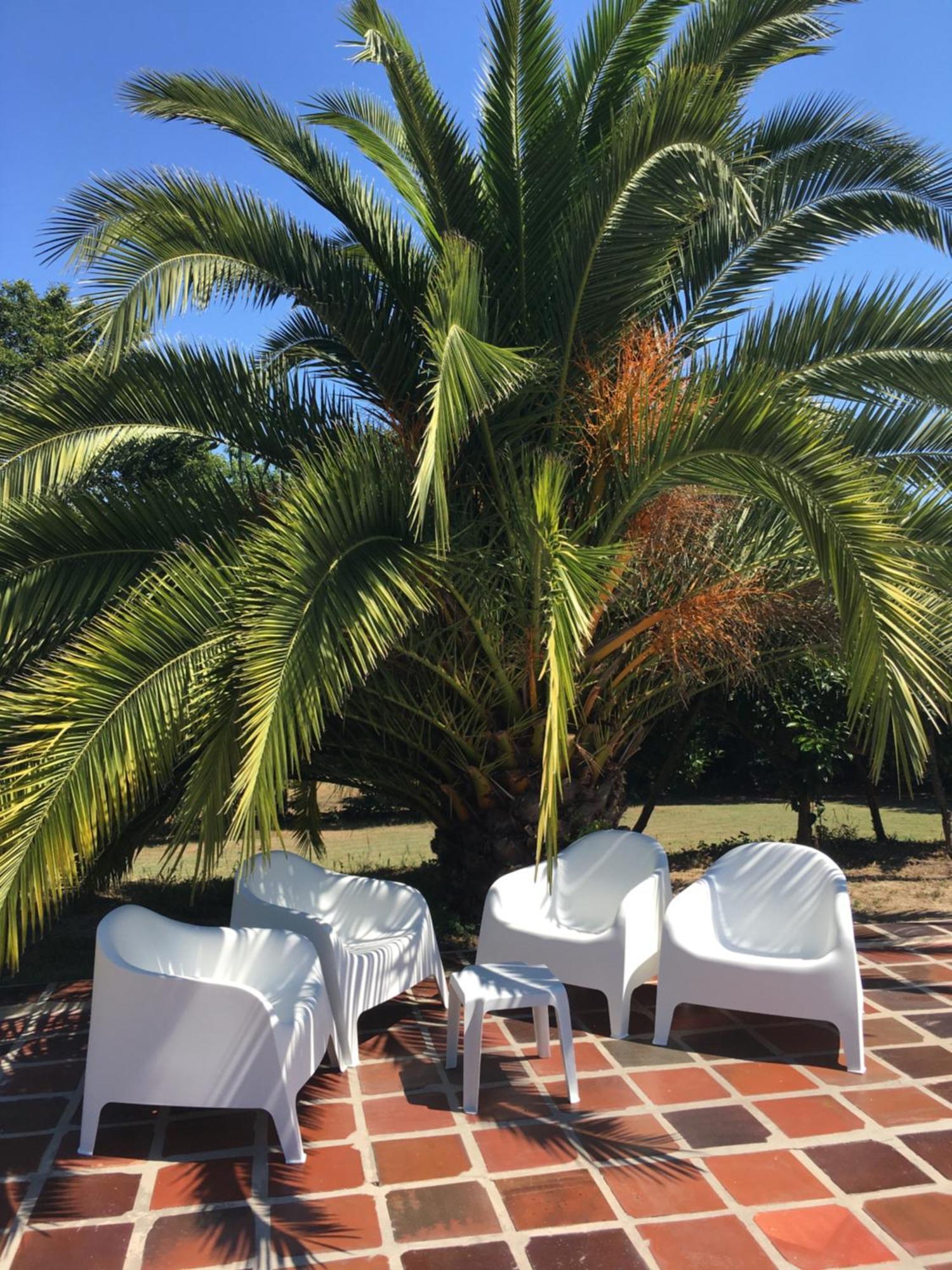 Quinta De Mocamedes - Turismo De Habitacao Ξενοδοχείο Vouzela Εξωτερικό φωτογραφία