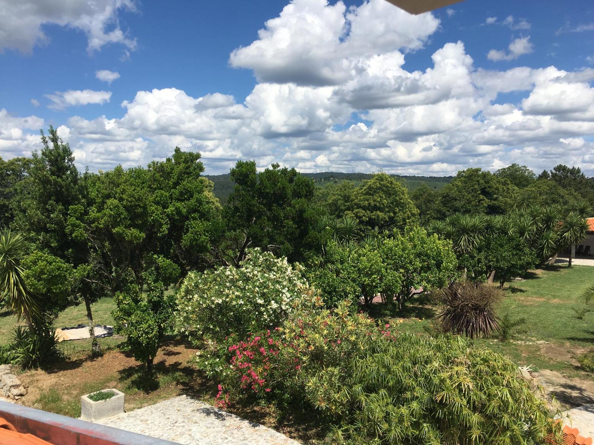Quinta De Mocamedes - Turismo De Habitacao Ξενοδοχείο Vouzela Εξωτερικό φωτογραφία