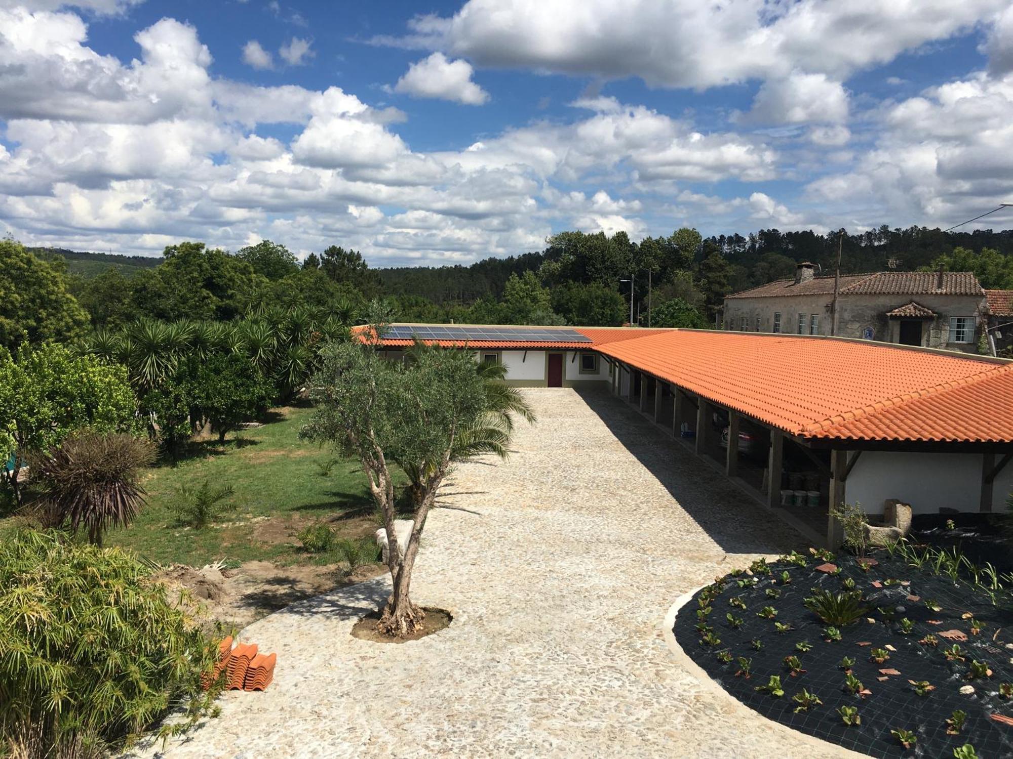 Quinta De Mocamedes - Turismo De Habitacao Ξενοδοχείο Vouzela Εξωτερικό φωτογραφία
