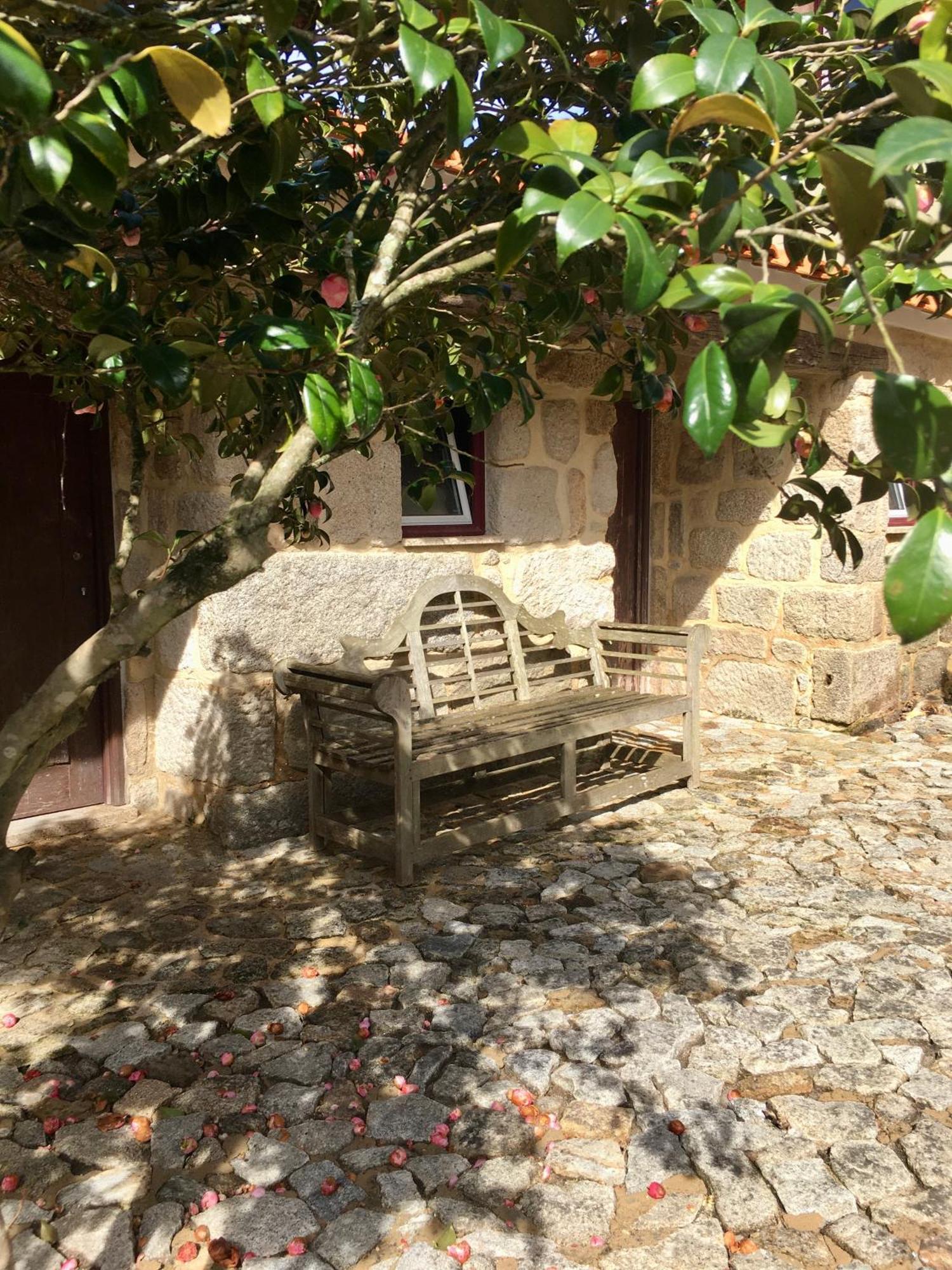 Quinta De Mocamedes - Turismo De Habitacao Ξενοδοχείο Vouzela Εξωτερικό φωτογραφία