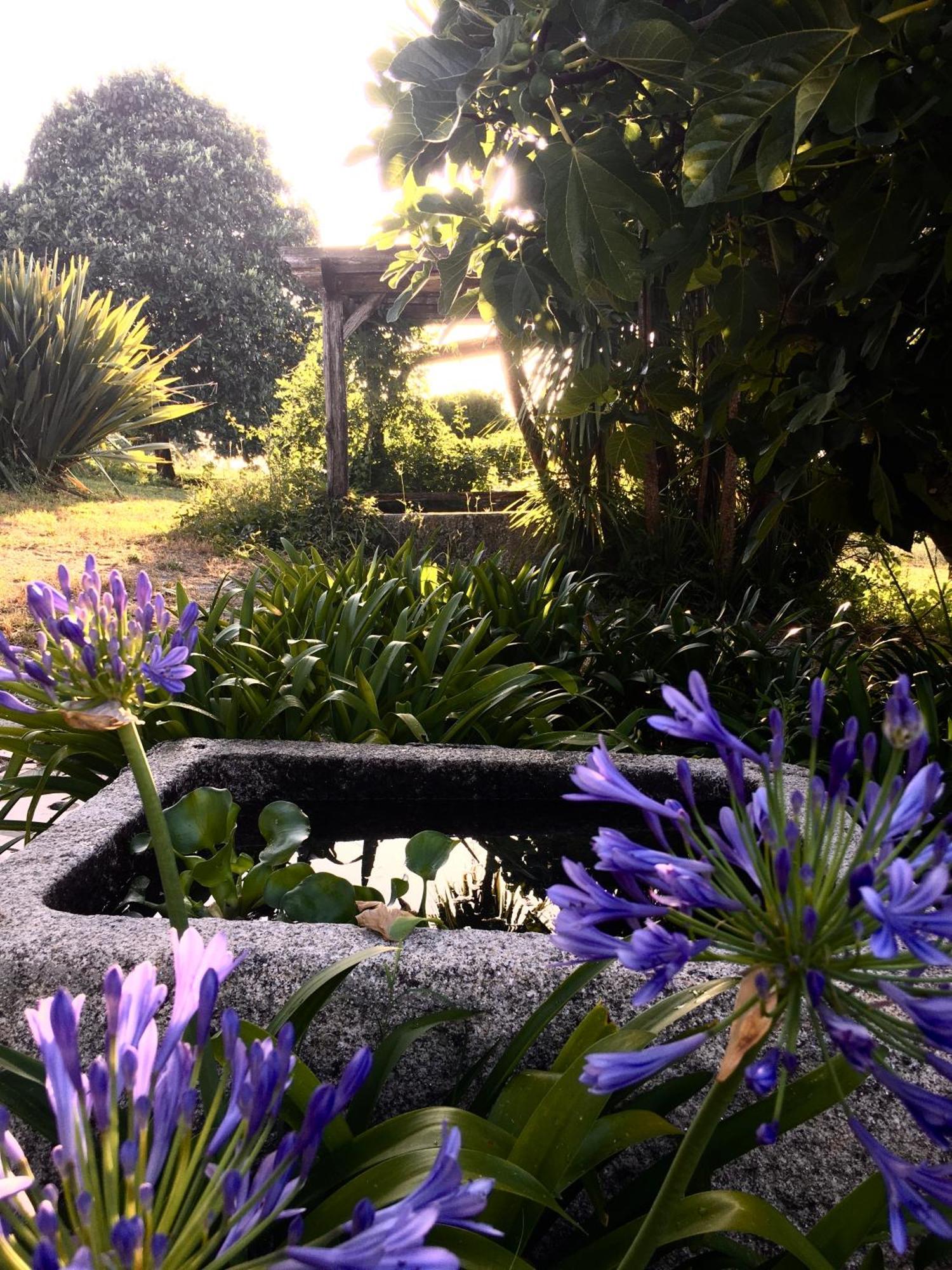 Quinta De Mocamedes - Turismo De Habitacao Ξενοδοχείο Vouzela Εξωτερικό φωτογραφία