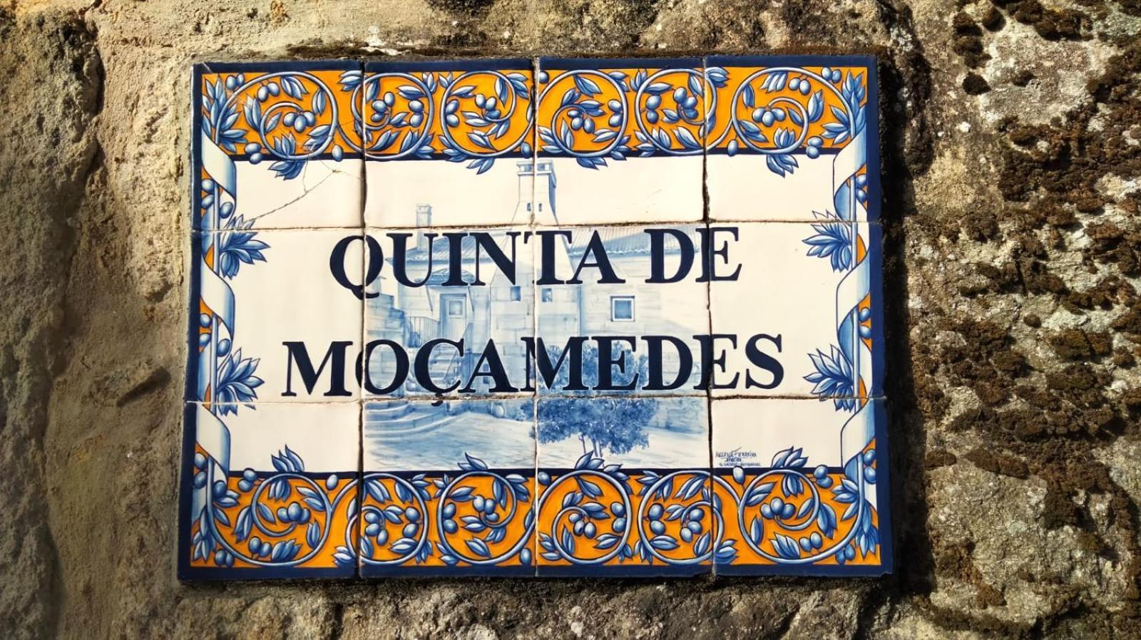 Quinta De Mocamedes - Turismo De Habitacao Ξενοδοχείο Vouzela Εξωτερικό φωτογραφία