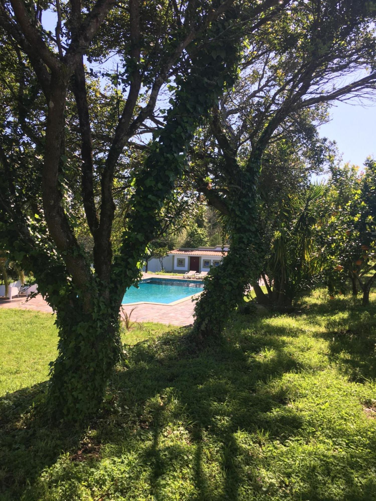 Quinta De Mocamedes - Turismo De Habitacao Ξενοδοχείο Vouzela Εξωτερικό φωτογραφία